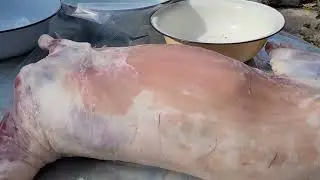 Купили барана!