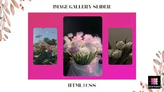 Image Gallery Slider