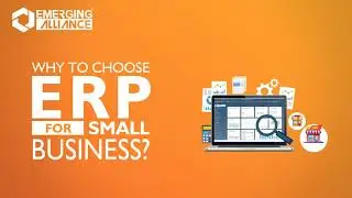 Why To Choose ERP For Small Business? | Emerging Alliance