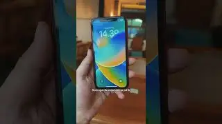 Ketika gw ultah dan punya iPhone Xr