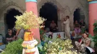 В доме Сарвабхаумы Бхаттачарьи, Джаганнатха пури   часть 2 Vedalife 16 02 2017