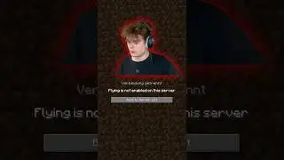 POV: FREE MINECRAFT SERVER