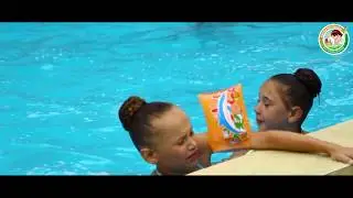 Територія та вільний час. Квітка на камені 2019