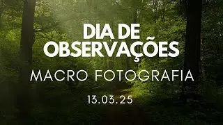 DIA DE OBSERVAÇÕES - MACRO FOTOGRAFIA / MACRO POHOTOGRAPHY