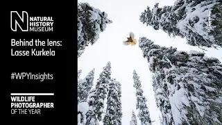 Behind the lens: High-flying jay by Lasse Kurkela | Wildlife Photographer of the Year 