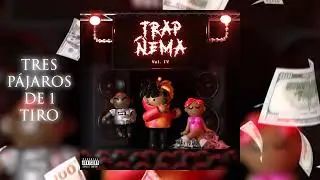 Crazy Point - Tres Pájaros de 1 Tiro (Audio Oficial)