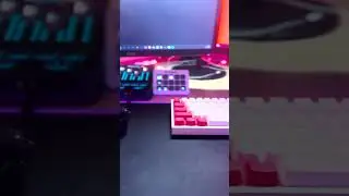 I Built my DREAM Gaming/Streaming Setup !!!
