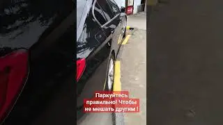 парковка авто#спб#