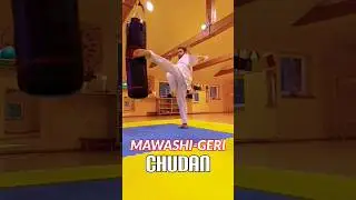 🔝MAWASHI-GERI