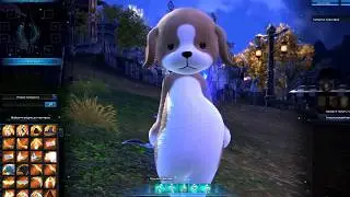 TERA 2018 гайд
