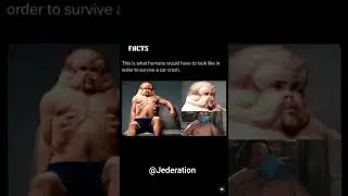 What Humans must look like to survive a Car Crash #shorts