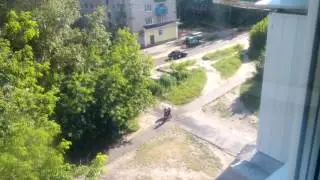 Несколько минут спустя