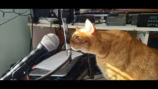 Live Shortwave radio show Saturday May 13th 2023