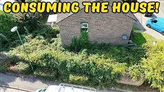 We Try to pull off a SURPRISE Garden Rescue while she is out..