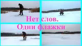Нет слов. Одни флажки.