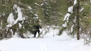 То ли лыжи не едут. 2
