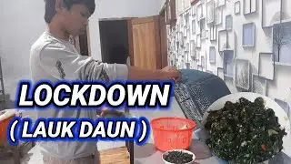 JATENG HOME ONLY LOCKDOWN 2 DAYS