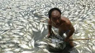 China's Irresponsible Growth : Documentary on China's Wealth and Destruction of the Environment