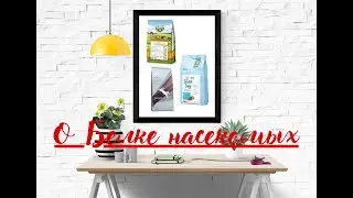 Корма для собак на основе БЕЛКА НАСЕКОМЫХ! INSECT FOOD! Ответы на вопросы о питании МУХАМИ:)