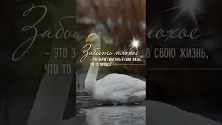 #исцеление #гармония #благополучие