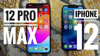 iPhone 12 vs 12 Pro Max Speed Test 2024