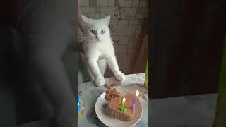 314. Гуле 2 годика!!!