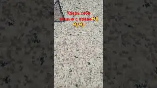 🤣🤣🤣🤣🤣
