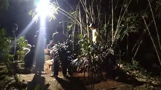 gali kuburan malam hari