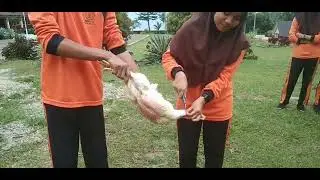 Pembelajaran Bermakna 