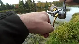 Деревенский прудик 25.09.2021г.