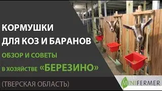 Кормушки для коз и баранов. Советы из хозяйства 