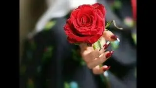 💖 New love || ❣Whatsapp status || 😍Female version || 💓Whatsapp status