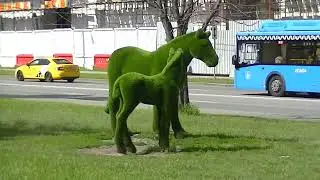 Стройка ТПУ 