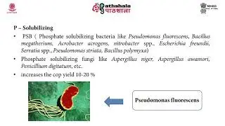 Role of microbes in agriculture as Bio-fertilizers