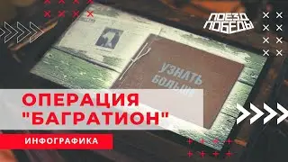 Инфографика 