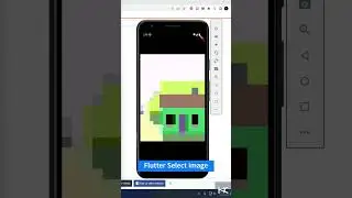 Select image from Gallery and Camera - Flutter Tutorial