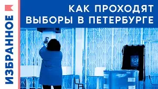 Бандитский Петербург или культурная столица: Как проходят выборы на Неве?