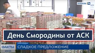 День Смородины в Краснодаре ➤праздник в ЖК Смородина от застройщика АСК ➤Новости Кубань 24 🔷 АСК