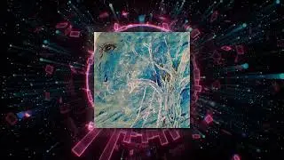 Reflekshun & Polarity - Where Do Our Souls Go?