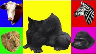 حيوانات المزرعه اختار الحيوان مثل غوريلا و أسد و  حمار وحشي  و بقرة Farm Animals Choose