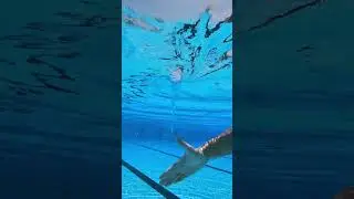 Классное упражнение на кисти! 🌪️ #плавание #swimming
