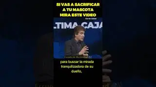 👉Si vas a sacrificar a tu mascota mira este video Dante Gebel #shorts