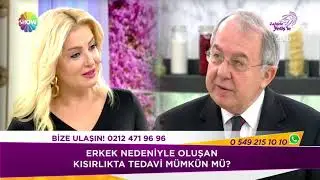 Çip bebek nedir?