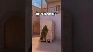 Raccoons on the team? #standoff #raccoon #meme