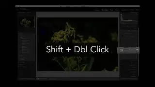 2 Minutes: Lightroom Classic Quick Fixes to rescue details, quick fix, and sharpen tips,