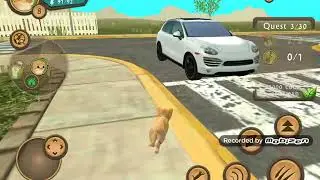 CatSim #1 /hunting and Pregnant/  Pt 2/3