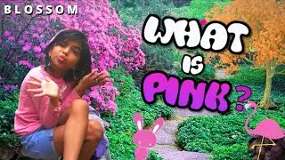 What Is Pink?|What Is Pink by Christina Rossetti (Children's Poem about Colours)|Blossom|Class 4|4K
