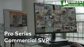 Forest Video Recorder 2023 07 12