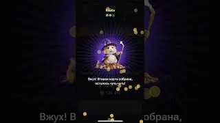 Хамстер Комбат комбо карты 4 июня! Combo Hamster Kombat