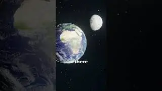 Space Case - The Moon